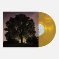 RAMSEY,TYLER / BROEMEL,CARL - CELESTUN - GOLD Vinyl LP