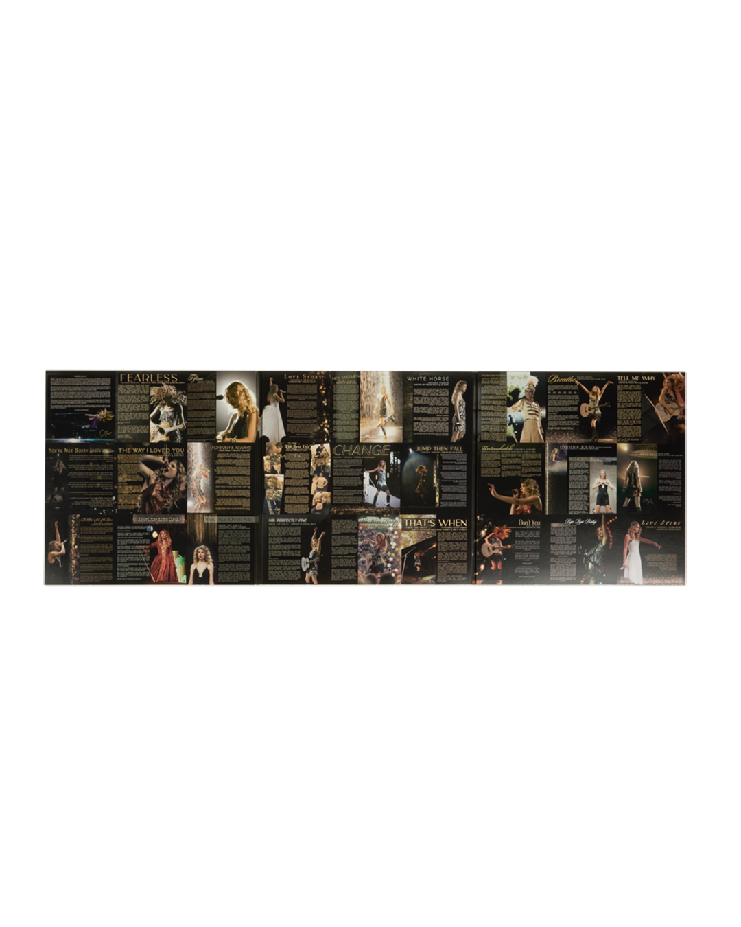 Fearless (Taylor's Version) vinyl