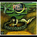 DRIVE-BY TRUCKERS - FINE PRINT Vinyl LP