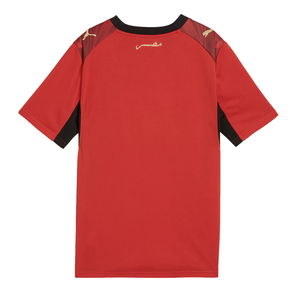 Puma Egypt 26 Kids' Home Stadium Jersey
