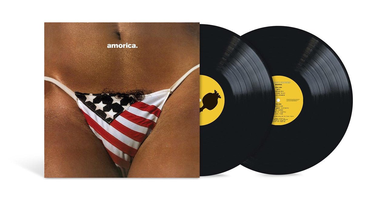 BLACK CROWES - AMORICA Vinyl LP