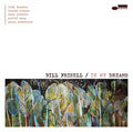 FRISELL,BILL - IN MY DREAMS Vinyl LP