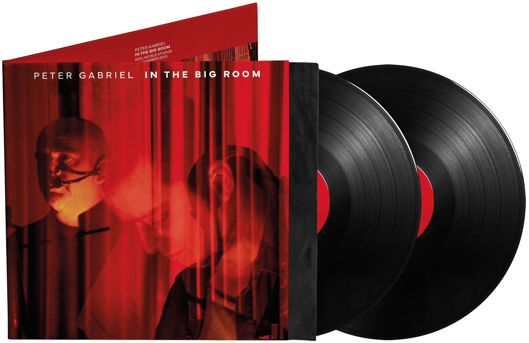 GABRIEL,PETER - IN THE BIG ROOM Vinyl LP