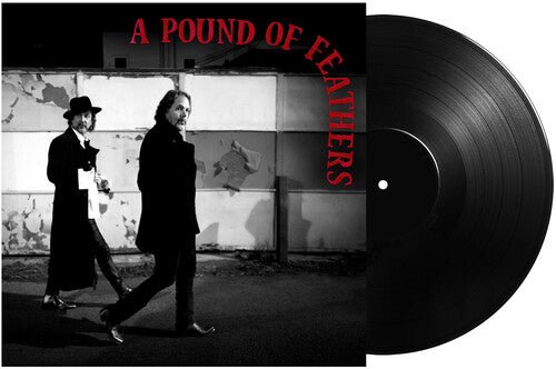 BLACK CROWES - POUND OF FEATHERS Vinyl LP