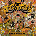 MIGHTY MIGHTY BOSSTONES - WHILE WE'RE AT IT Vinyl LP